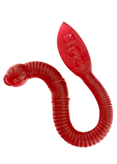 Gummy Fishing Worm - Multi Pack